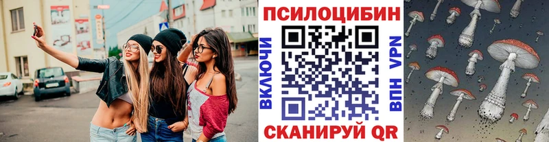 наркошоп  Ялуторовск  Псилоцибиновые грибы Psilocybe 